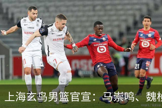 上海玄鸟男篮官宣：马崇鸣、魏桢、刘俊豪加盟上海玄鸟男篮